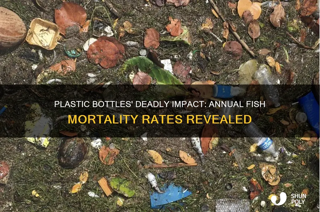 how many fish die from plastic bottles each year
