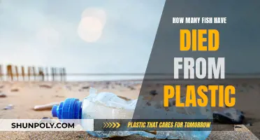 Plastic Pollution: A Deadly Threat to Fish Survival