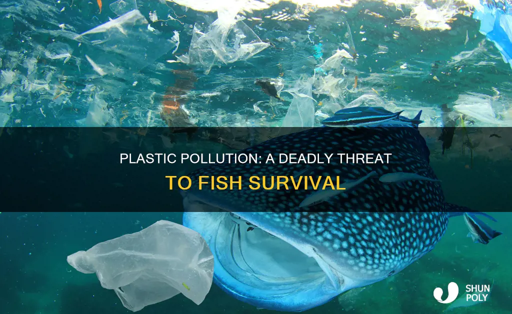 how many fish have died from plastic