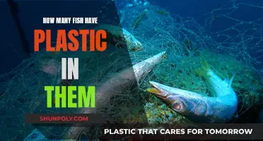 Plastic in Fish: A Worrying Reality