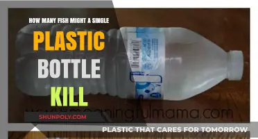 Deadly Impact: How One Plastic Bottle Threatens Marine Life
