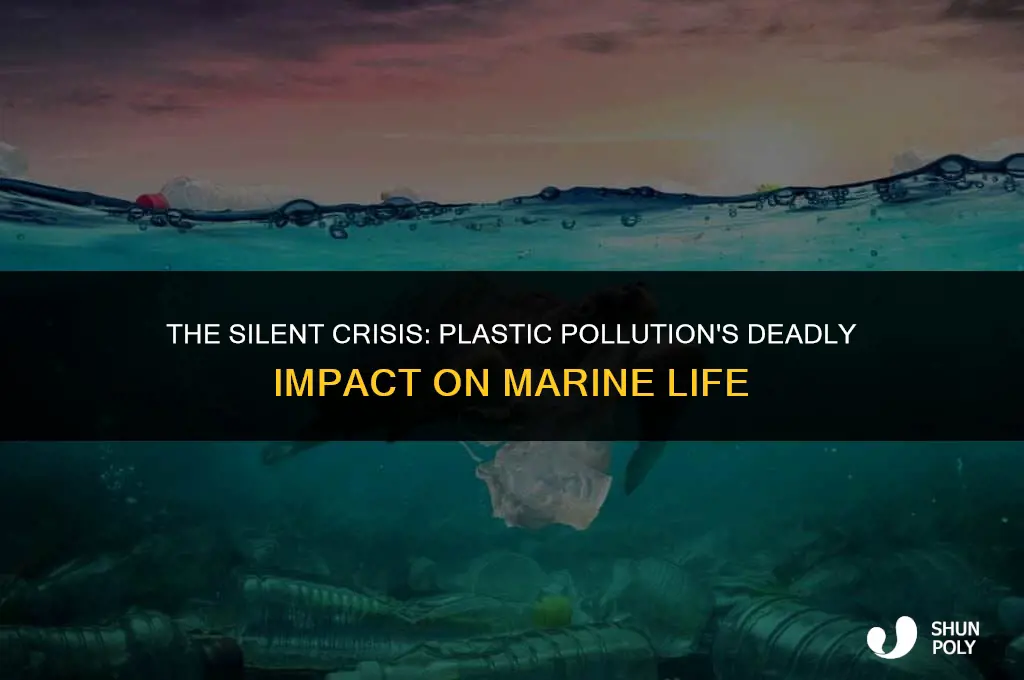 how many fish will die from plastic