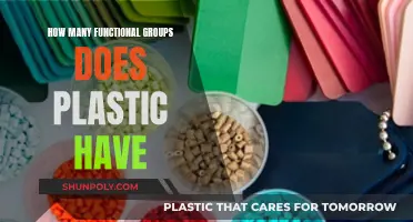 The Diverse Chemistry of Plastic's Functional Groups