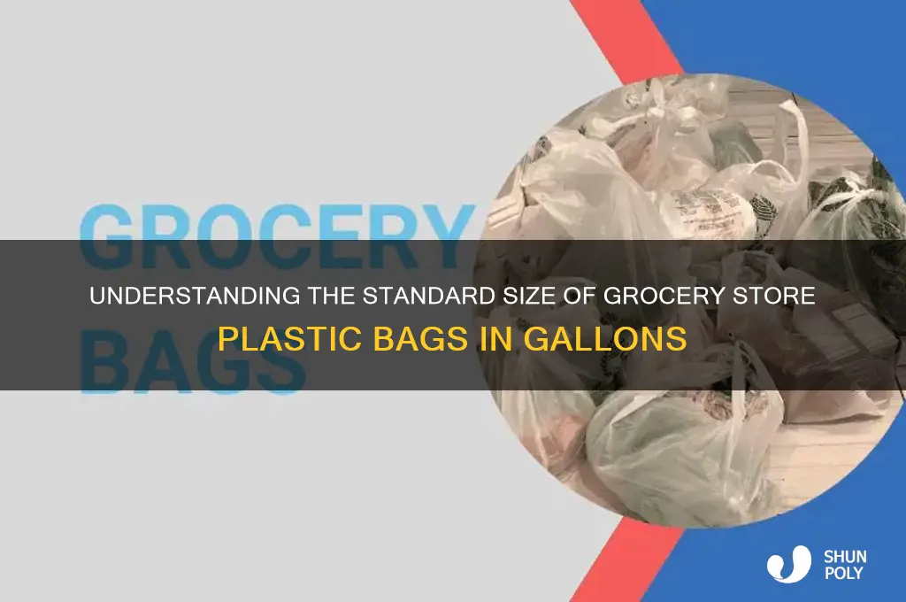 how many gallon is plastic bag from grocery store