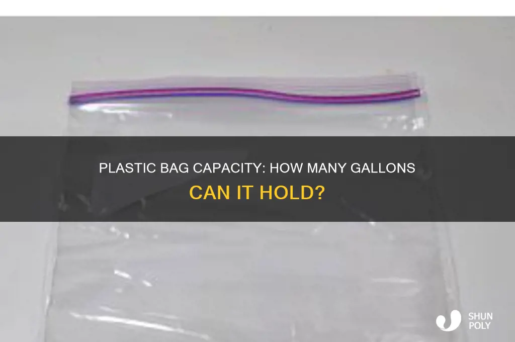 how many gallons in plastic bag