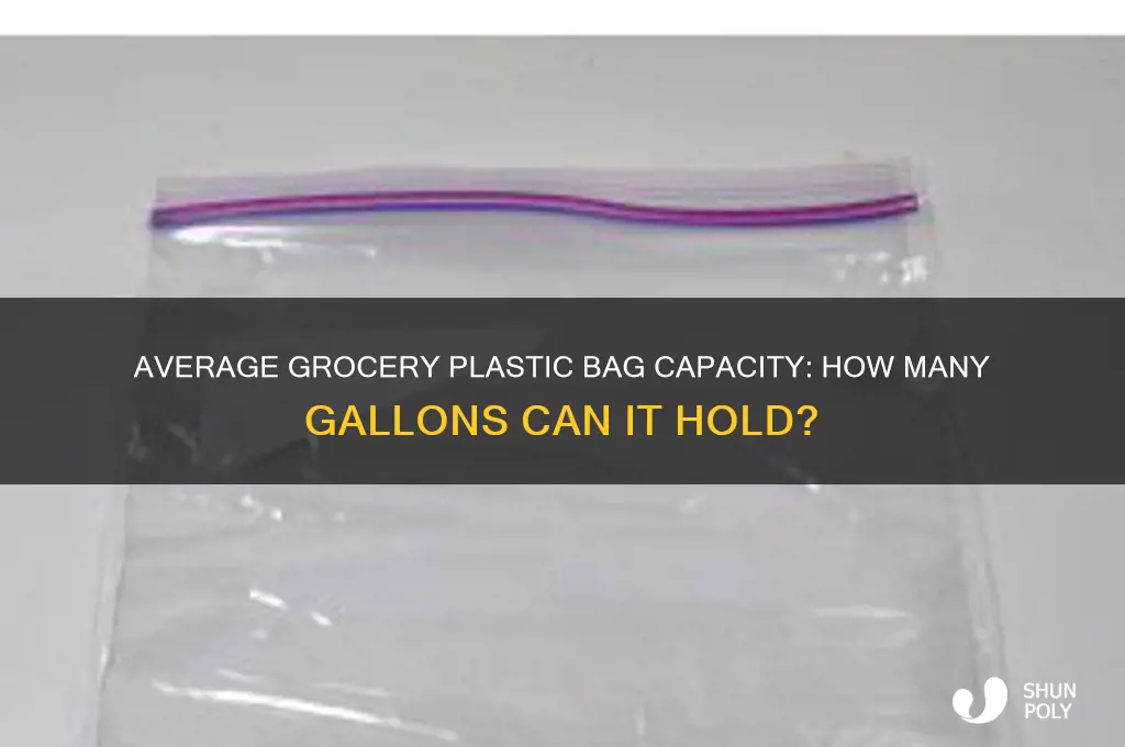 how many gallons is an average grocery plastic bag hold