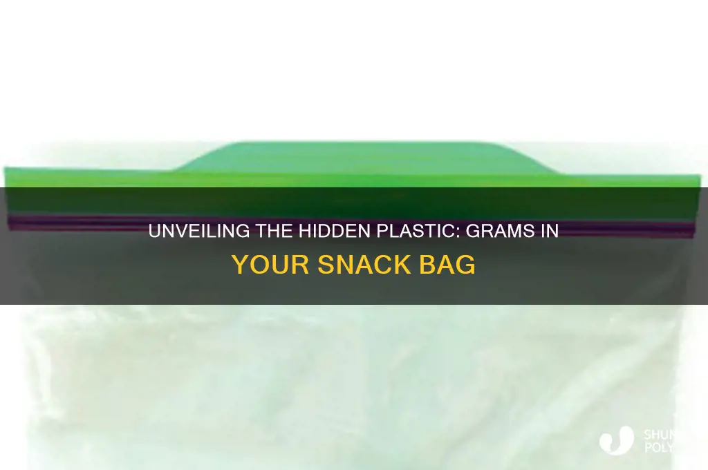 how many grams of plastic in snack bag