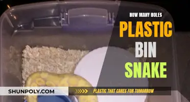Snake Bin Holes: Quantity Mystery Solved