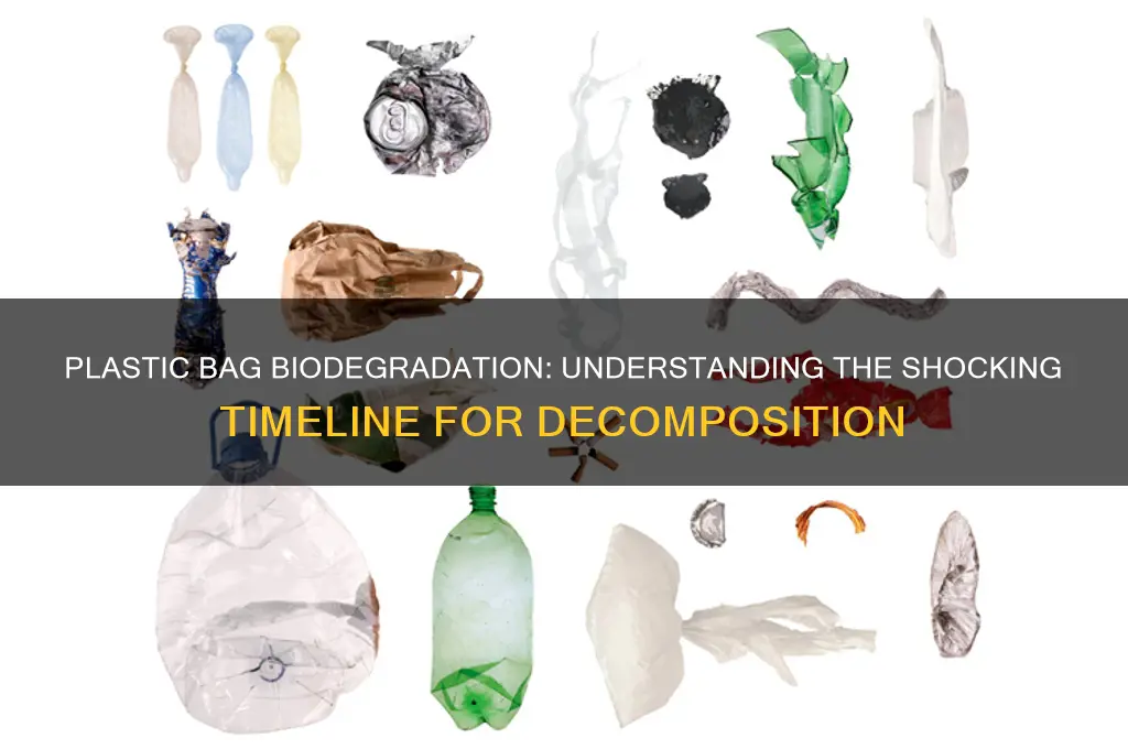 how many hours does a plastic bag take to biodegrade