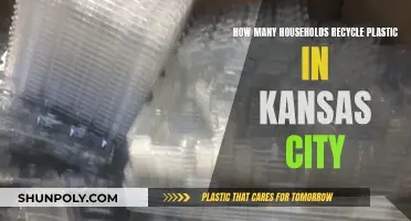 Recycling Habits: Unveiling KC's Plastic Waste Story