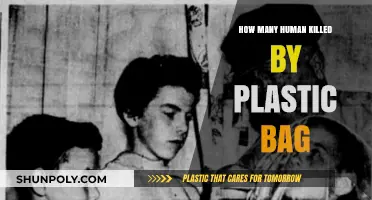 Plastic Bags' Deadly Impact: Human Lives Lost to Pollution