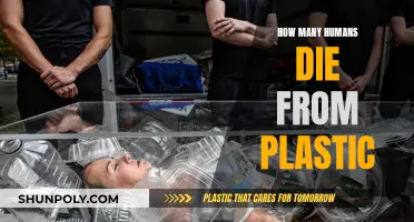 Plastic's Human Toll: A Global Crisis