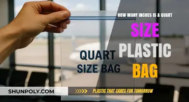 Quart Size Plastic Bag Dimensions: Inches Explained Simply