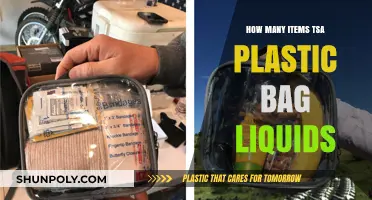 TSA Plastic Bag Liquids: How Many Items Can You Pack?