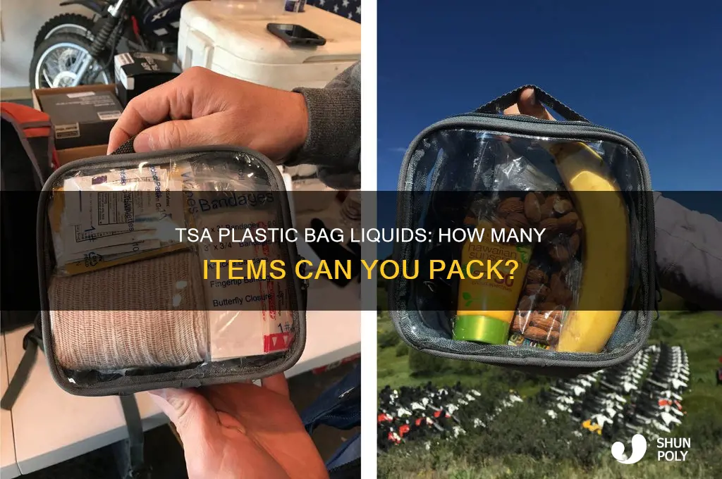 how many items tsa plastic bag liquids