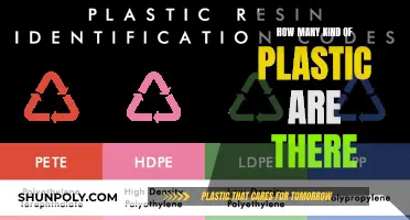Exploring the Diverse World of Plastic Varieties
