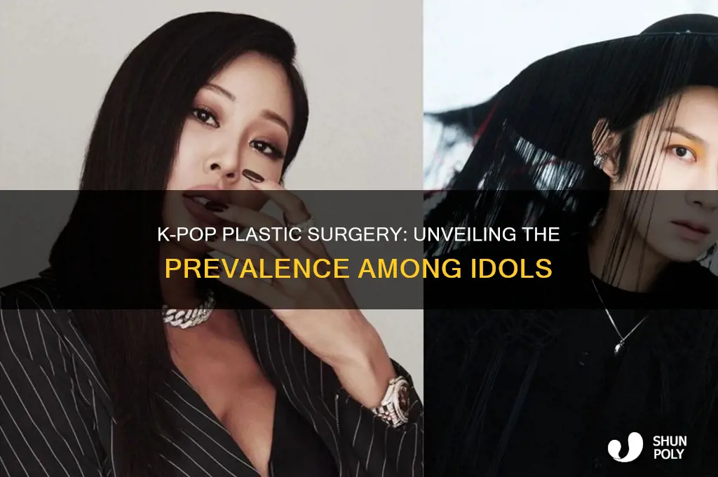 how many kpop idols get plastic surgery