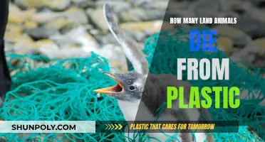 Plastic Pollution: A Deadly Threat to Land Animals