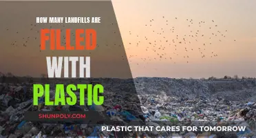 Plastic Pollution: Landfills Overflowing with Waste