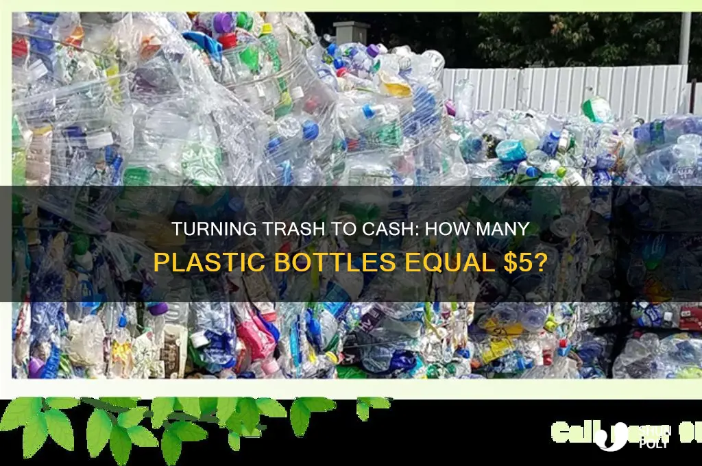 how many lbs of plastic bottle equal 5 dollars