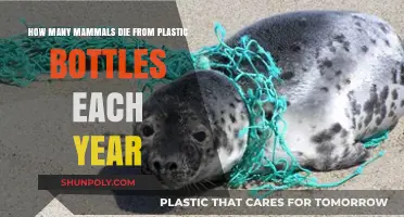 Plastic Bottle Pollution: Annual Mammal Death Toll Revealed