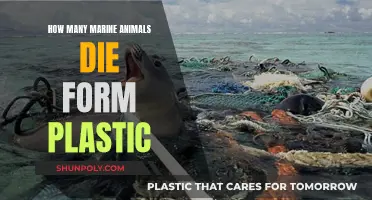 Plastic's Devastating Impact on Marine Life