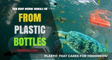 Plastic Bottles' Deadly Impact: Marine Life's Silent Struggle for Survival