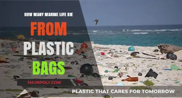 Plastic Bags' Deadly Impact: Marine Life Deaths and Prevention