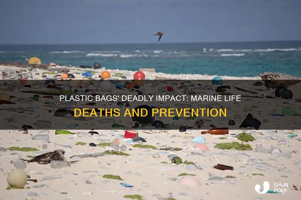 how many marine life die from plastic bags