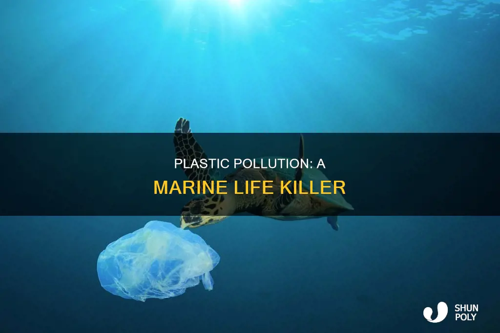 how many marine life die from plastic
