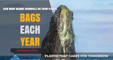 Plastic Bag Pollution: Annual Toll on Marine Mammals Revealed