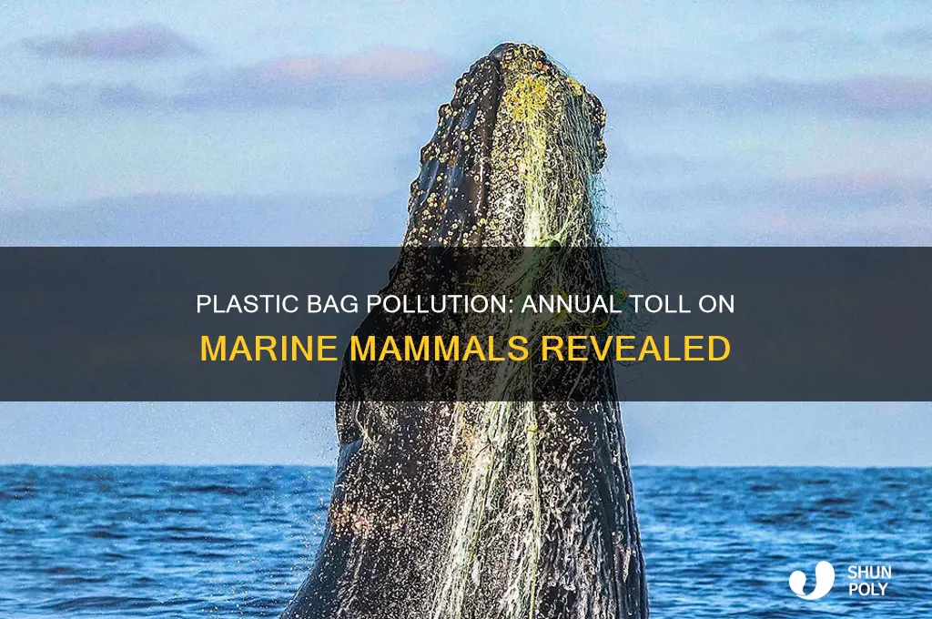 how many marine mammals die from plastic bags each year