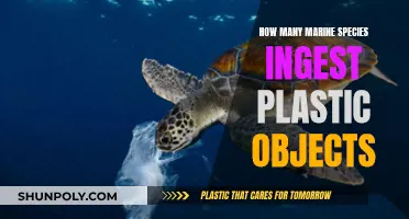 Plastic Ingestion: Marine Life's Deadly Threat