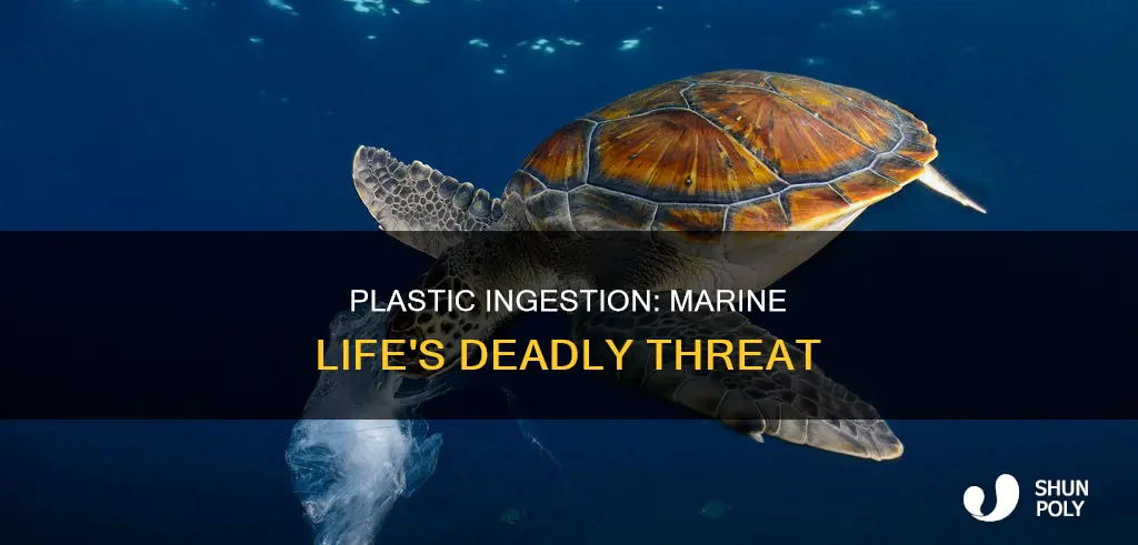 how many marine species ingest plastic objects