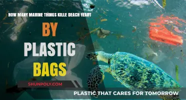 Deadly Impact: Plastic Bags' Annual Toll on Marine Life