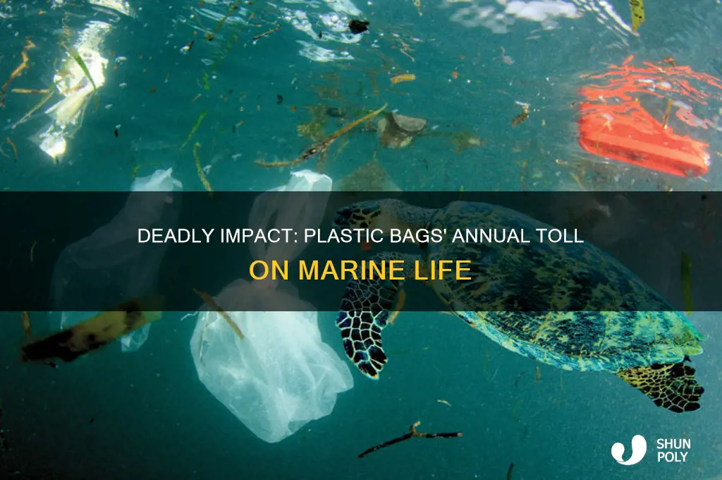 how many marine things kille deach yeart by plastic bags
