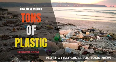 Plastic Pollution: Millions of Tons of Waste