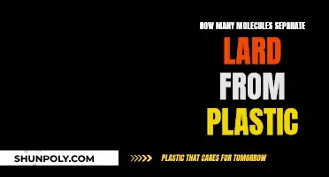 Molecular Difference: Lard vs Plastic