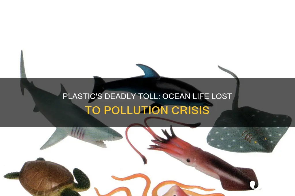 how many ocean animals are getting killed because of plastic