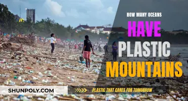 Plastic Pollution: Our Oceans' Mounting Crisis