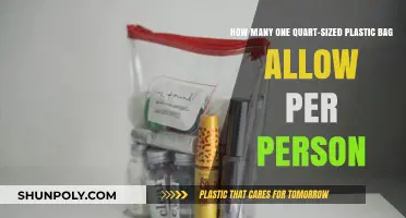 Traveling with Liquids: One Quart-Sized Bag Limit per Person