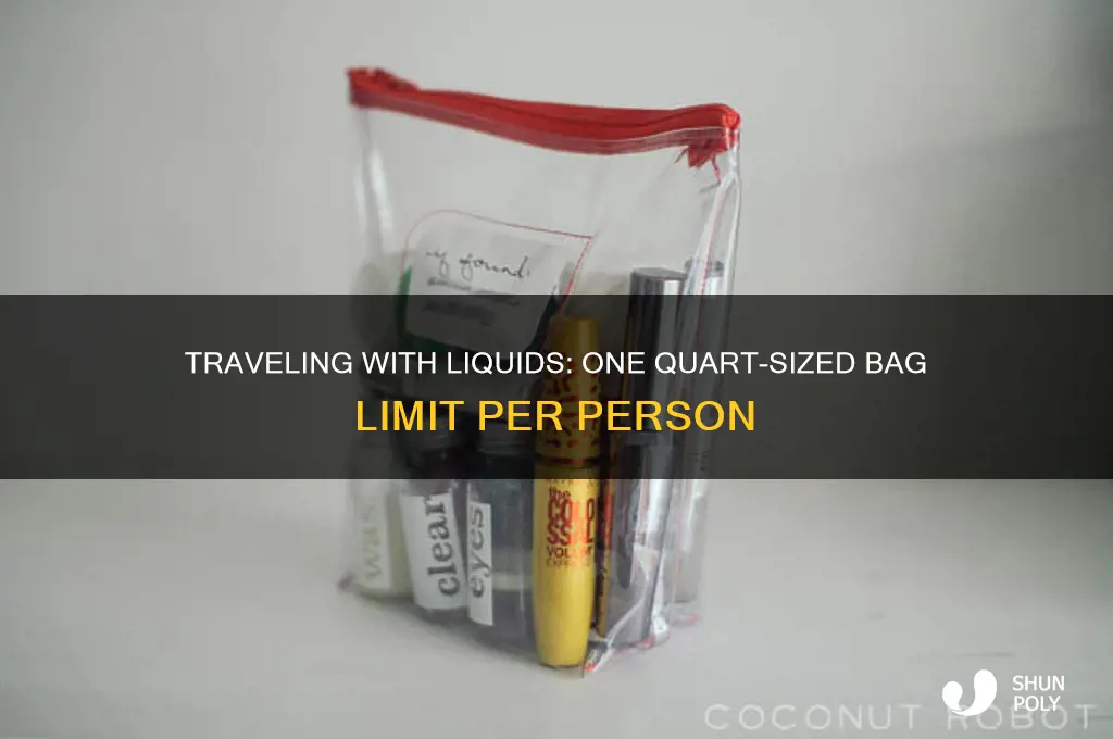 how many one quart-sized plastic bag allow per person