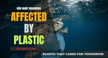 Plastic's Impact: Devastating Effects on Marine Life