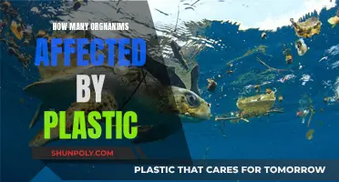 Plastic Impact: Devastating Effects on Countless Organisms
