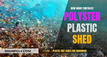 The Hidden Cost of Polyester: Microplastics in Our Oceans
