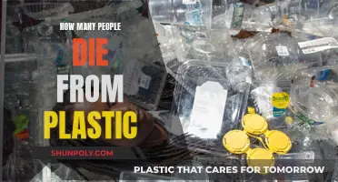 Plastic's Human Toll: Counting Fatalities from a Global Crisis