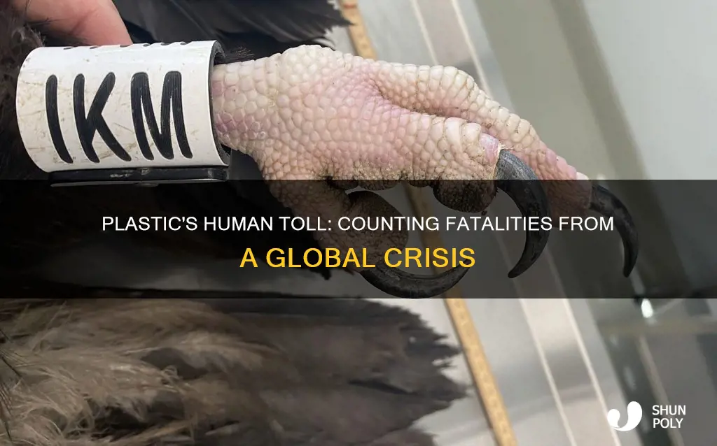how many people die from plastic