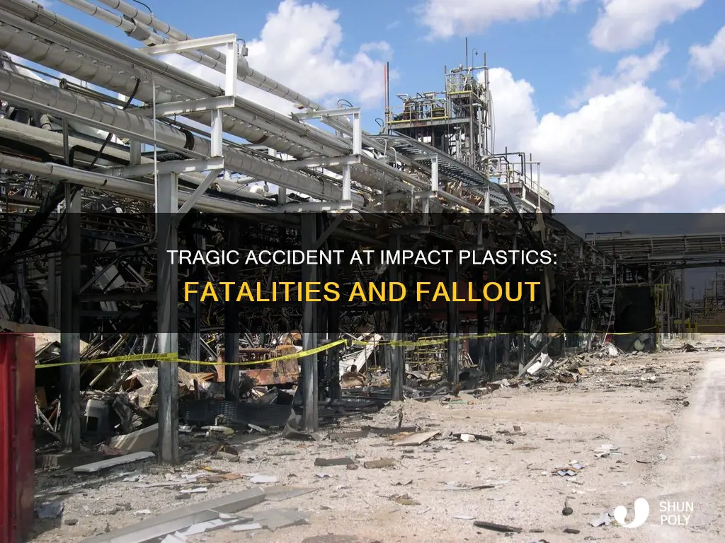 how many people died at impact plastics
