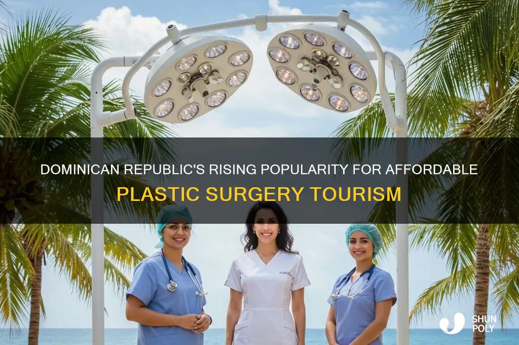 how many people go to dominican republic for plastic surgery