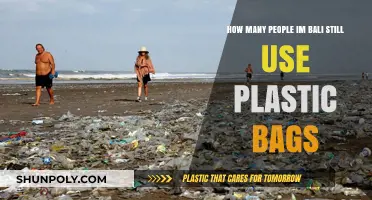 Bali's Plastic Bag Dilemma: How Many Still Rely on Single-Use Plastics?